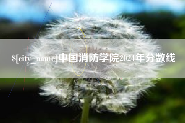 荣成中国消防学院2024年分数线