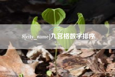 荣成九宫格数字排序