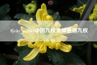 荣成中国九枚金牌是哪九枚