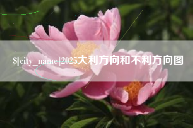 荣成2025大利方向和不利方向图