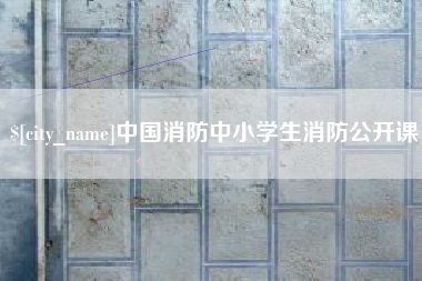 荣成中国消防中小学生消防公开课