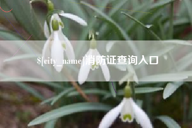 荣成消防证查询入口