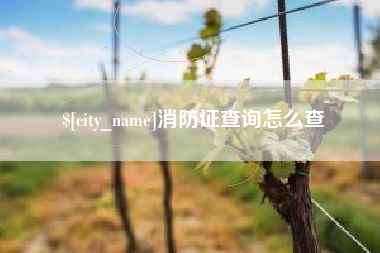 荣成消防证查询怎么查