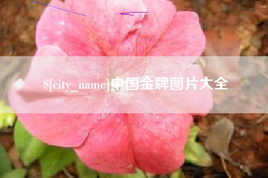 荣成中国金牌图片大全