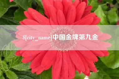 荣成中国金牌第九金