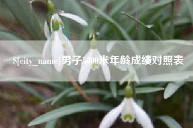 荣成男子5000米年龄成绩对照表