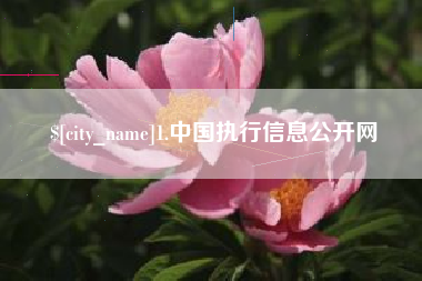 荣成1.中国执行信息公开网