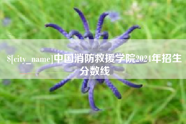 荣成中国消防救援学院2024年招生分数线