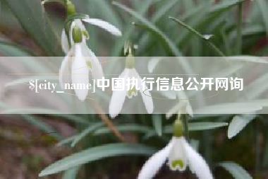 荣成中国执行信息公开网询