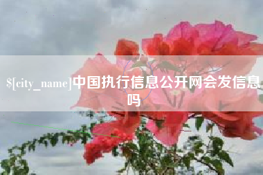 荣成中国执行信息公开网会发信息吗