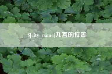 荣成九宫的位置