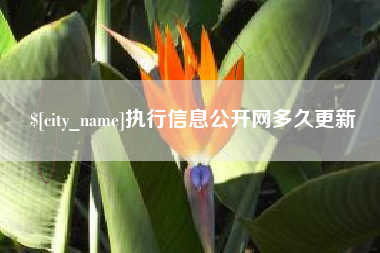 荣成执行信息公开网多久更新