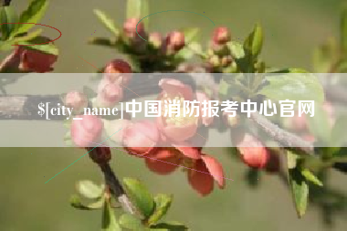 荣成中国消防报考中心官网