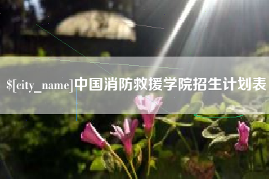荣成中国消防救援学院招生计划表