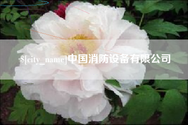 荣成中国消防设备有限公司
