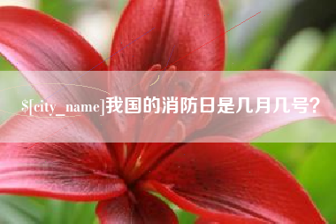 荣成我国的消防日是几月几号？
