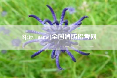 荣成全国消防招考网