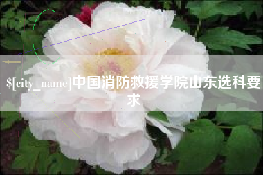 荣成中国消防救援学院山东选科要求