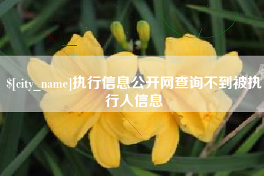 荣成执行信息公开网查询不到被执行人信息