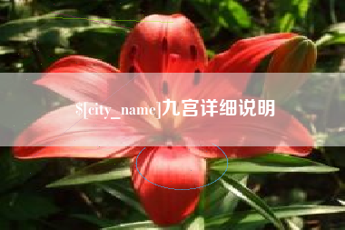 荣成九宫详细说明