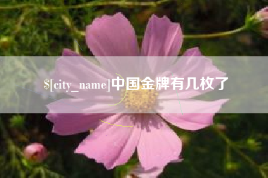 荣成中国金牌有几枚了