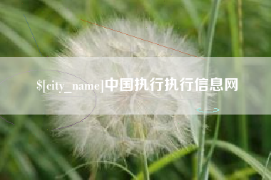 荣成中国执行执行信息网