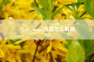 荣成九宫怎么解释