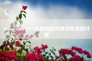 荣成2021中国消防救援学院录取分数