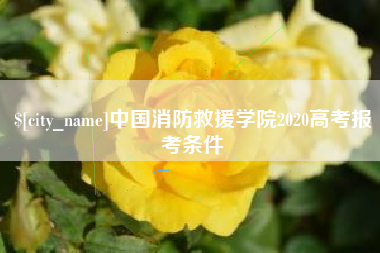 荣成中国消防救援学院2020高考报考条件