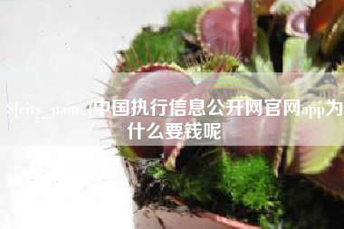 荣成中国执行信息公开网官网app为什么要钱呢