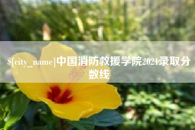 荣成中国消防救援学院2021录取分数线