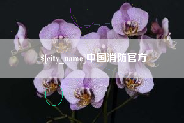荣成中国消防官方