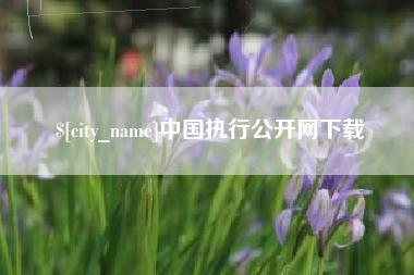 荣成中国执行公开网下载