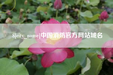 荣成中国消防官方网站域名