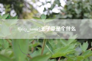 荣成王子豪是个什么