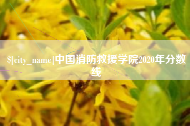 荣成中国消防救援学院2020年分数线