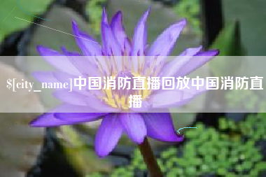 荣成中国消防直播回放中国消防直播