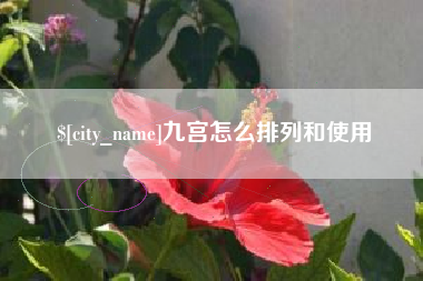 荣成九宫怎么排列和使用