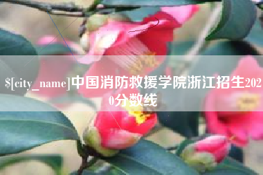 荣成中国消防救援学院浙江招生2020分数线