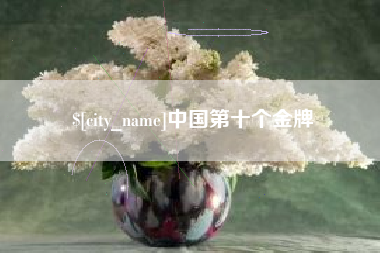 荣成中国第十个金牌