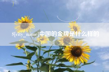 荣成中国的金牌是什么样的