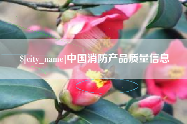 荣成中国消防产品质量信息