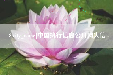 荣成中国执行信息公开网失信