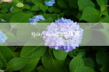 荣成2022九宫