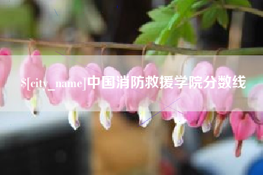 荣成中国消防救援学院分数线