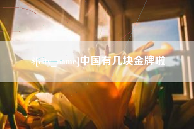 荣成中国有几块金牌啦