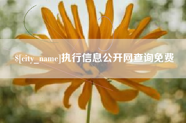 荣成执行信息公开网查询免费