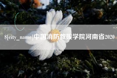 荣成中国消防救援学院河南省2020